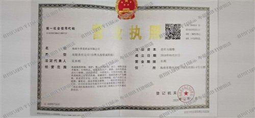 复合型人才战场 营销策划员与企业咨询岗的魅力对撞