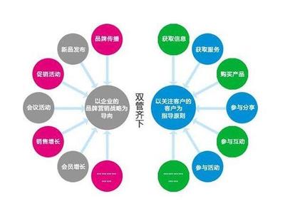 食用油品牌营销策划 以战略咨询思维驱动市场增长
